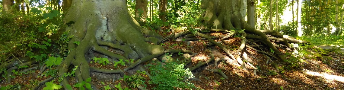 Vrienden van Te Werve - Slide